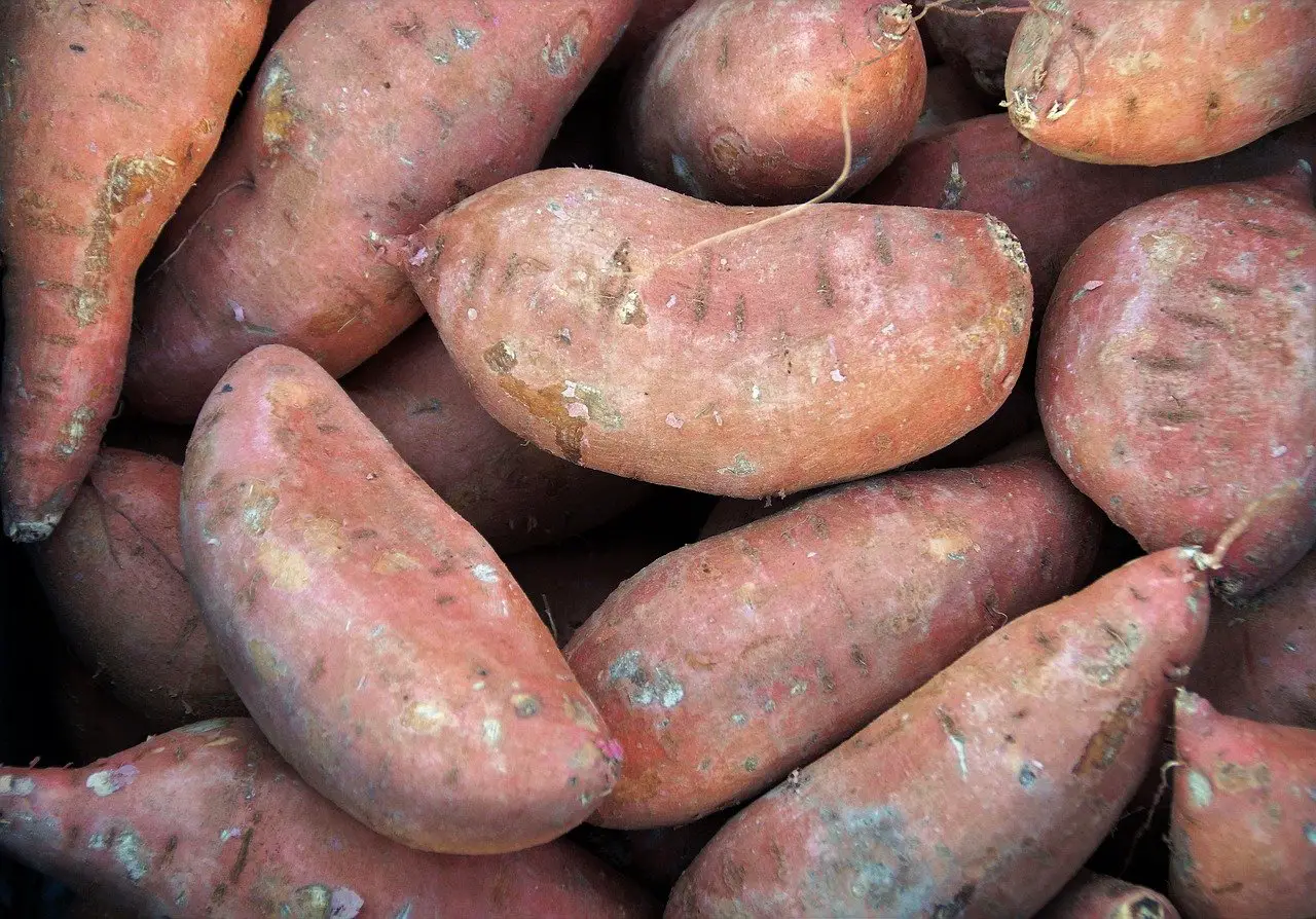 How Many Sweet Potatoes In A Pound? (+3 Unique ...